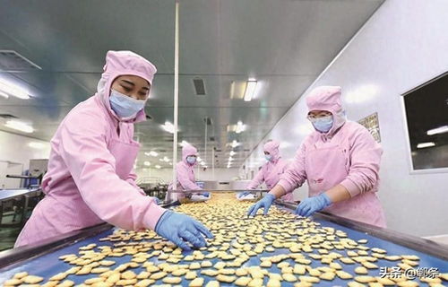 生物技術驅動邱縣食品產業新圖景 創新、升級與可持續發展