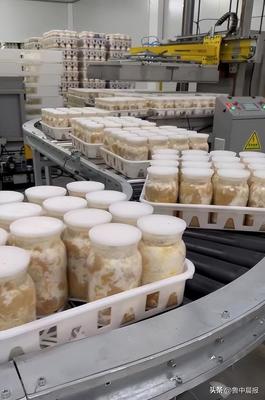 智慧賦能，科技增效——食用菌智慧工廠化生產(chǎn)關(guān)鍵技術(shù)研發(fā)及產(chǎn)業(yè)化項(xiàng)目現(xiàn)場(chǎng)調(diào)研側(cè)記